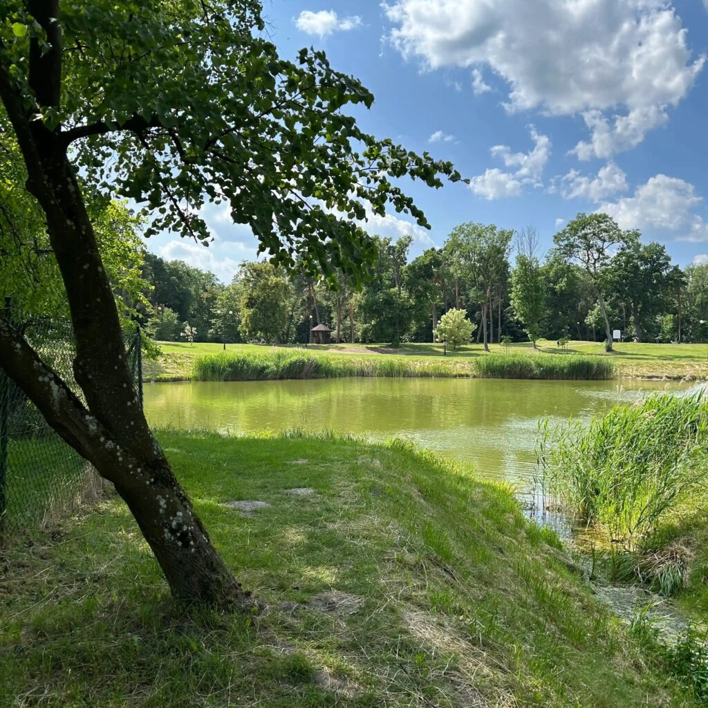 Park in Opole Lubelskie