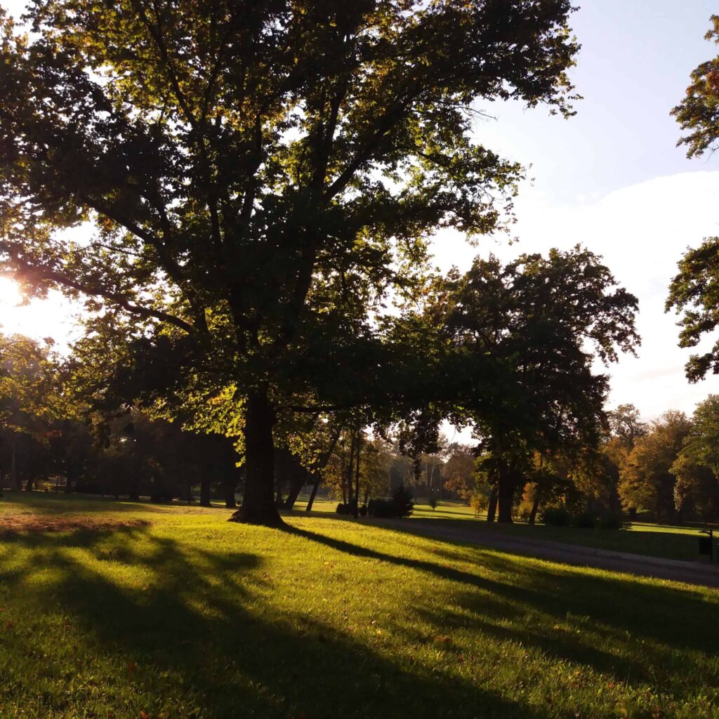 Park in Opole Lubelskie